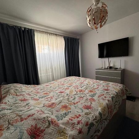 Apartament Alexe إيفوري نورد المظهر الخارجي الصورة
