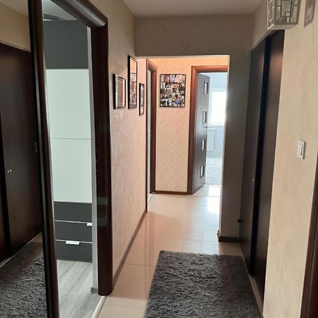 Apartament Alexe إيفوري نورد المظهر الخارجي الصورة