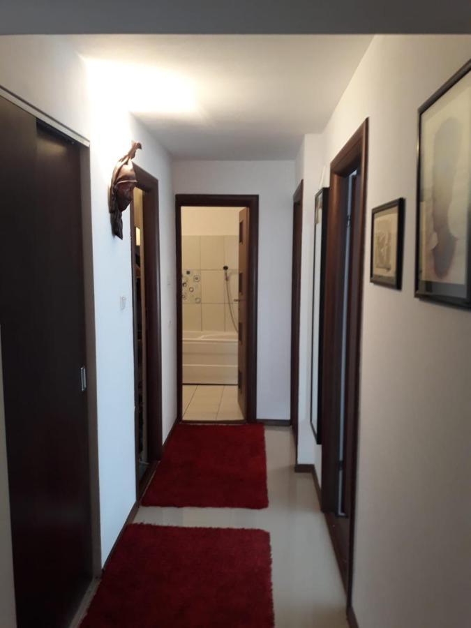 Apartament Alexe إيفوري نورد المظهر الخارجي الصورة