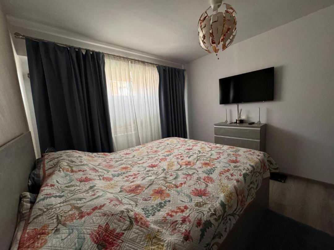 Apartament Alexe إيفوري نورد المظهر الخارجي الصورة